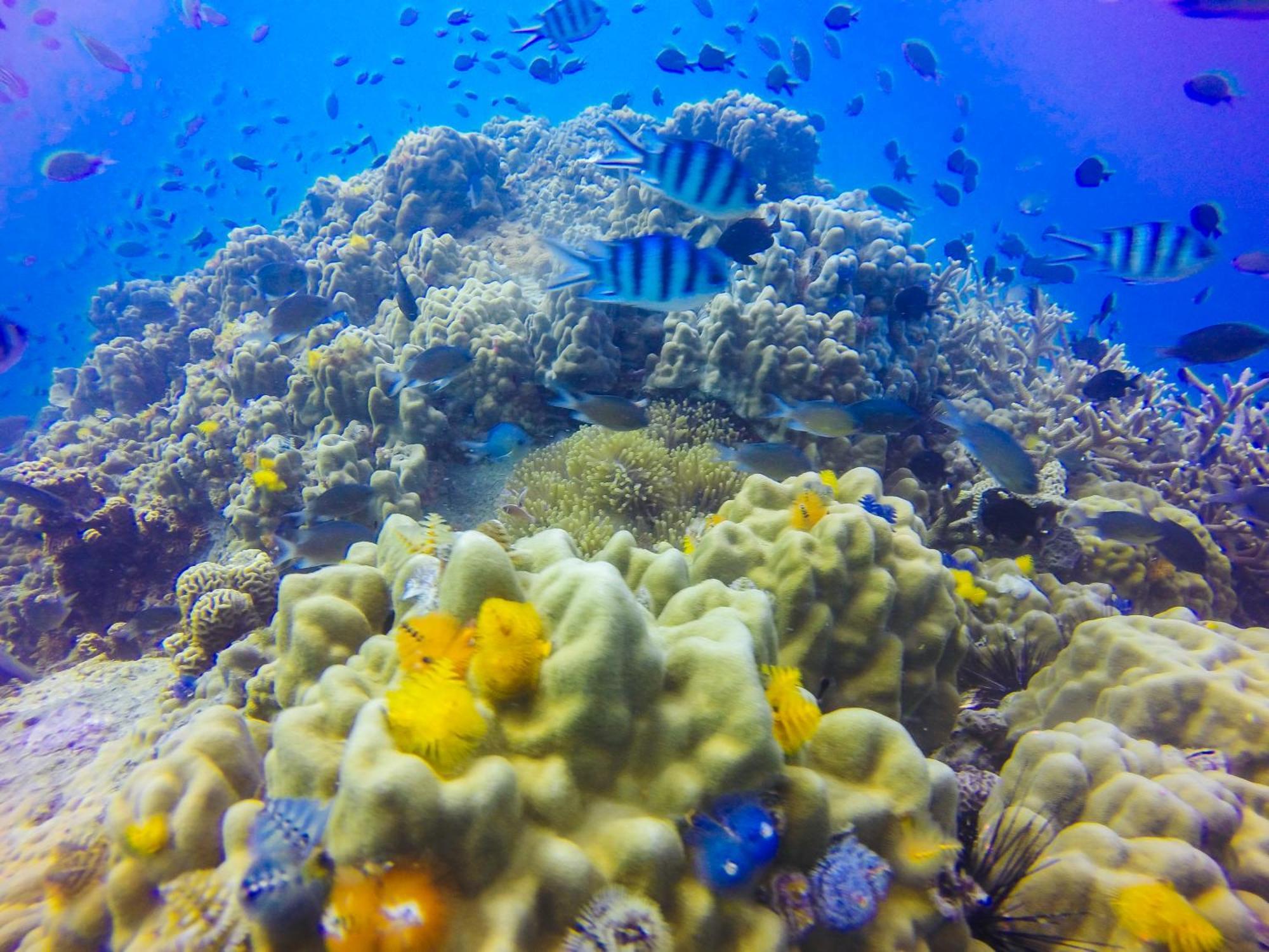 Pinnacle Koh Tao Resort Εξωτερικό φωτογραφία
